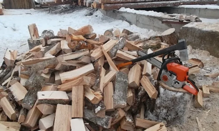 Дрова: дуб, акация, береза, без предоплаты, быстрая доставка - фото № 2