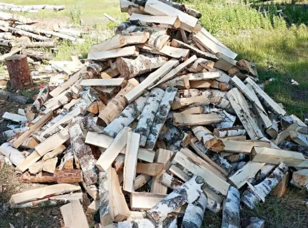 Продам дрова любых пород, доставка без предоплаты - фото № 1