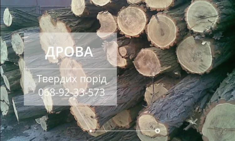 Дрова твердих порід - фото № 1