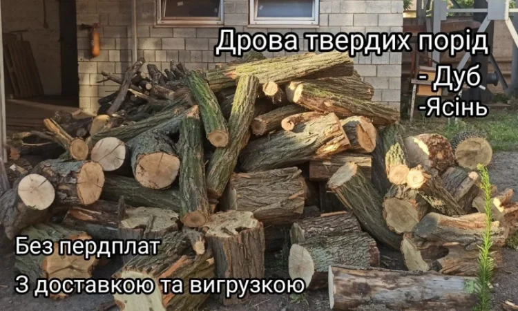 Дрова твердих порід - фото № 2