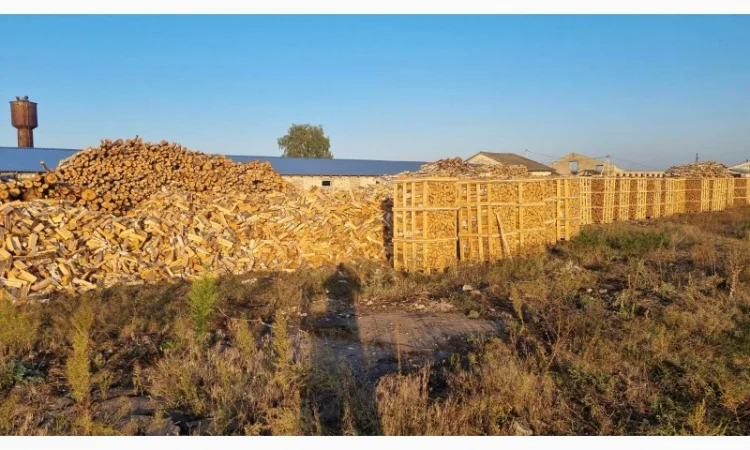 Дрова рубленные - фото № 1