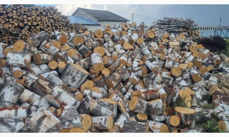 Дрова рубленные - фото № 4