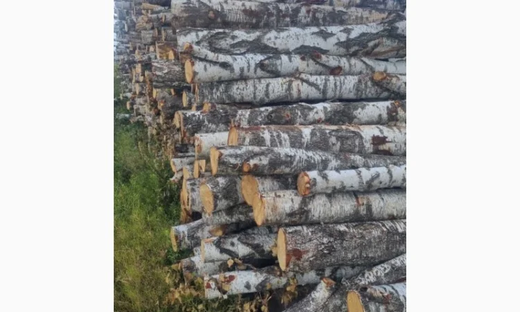 Дрова рубані - фото № 3