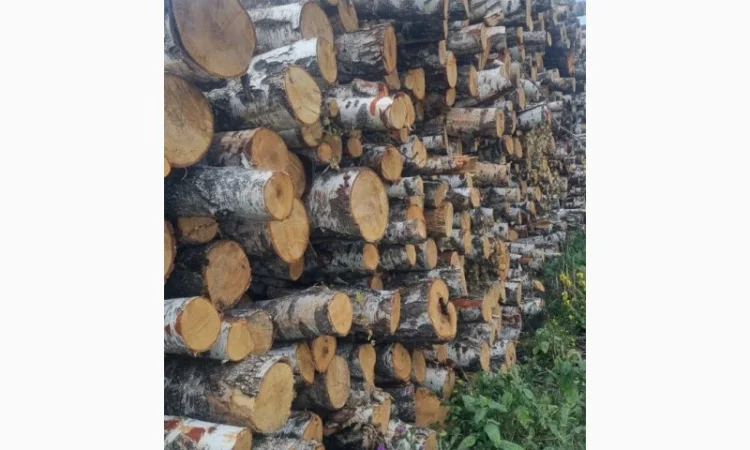 Дрова рубані - фото № 4