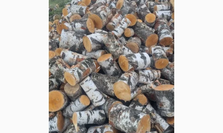 Дрова рубані - фото № 5