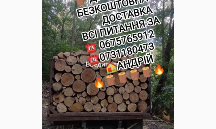 Продам дрова - фото № 1