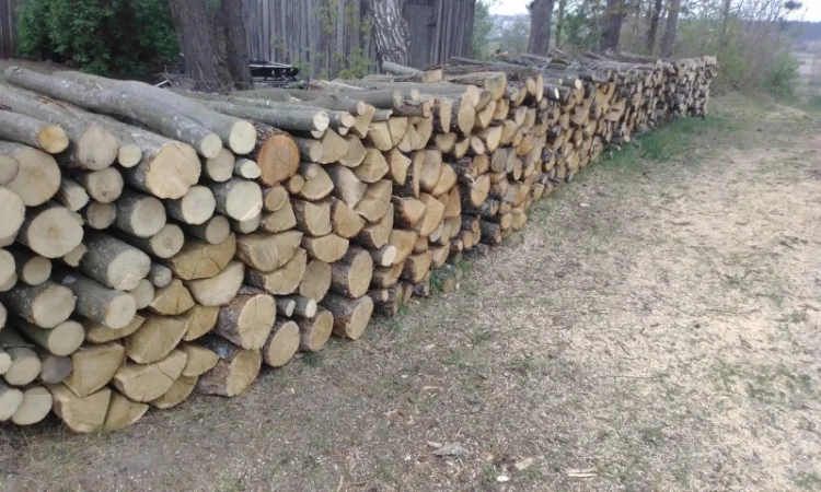 Продам Дрова - фото № 2