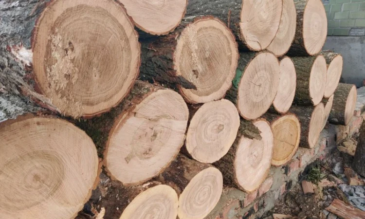 Продам колоті дрова - фото № 8