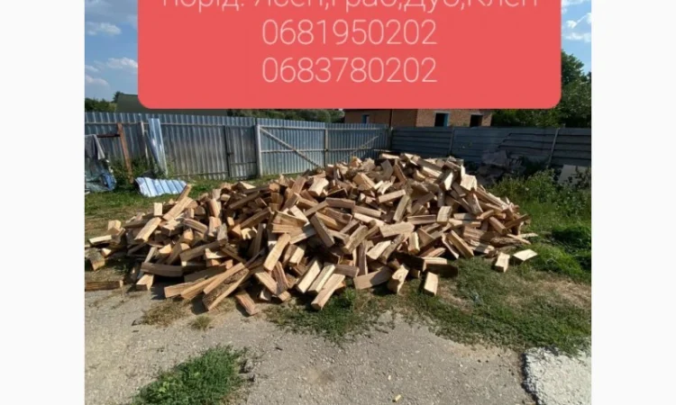 Продам колоті дрова - фото № 1