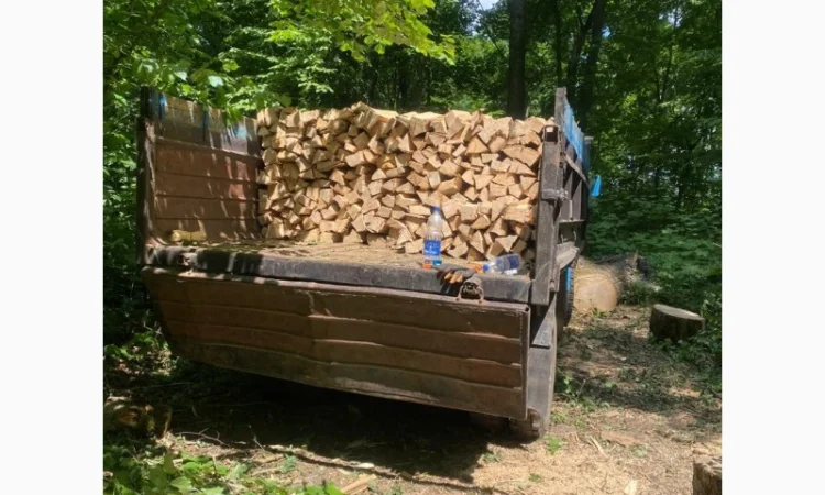 Продам колоті дрова - фото № 5