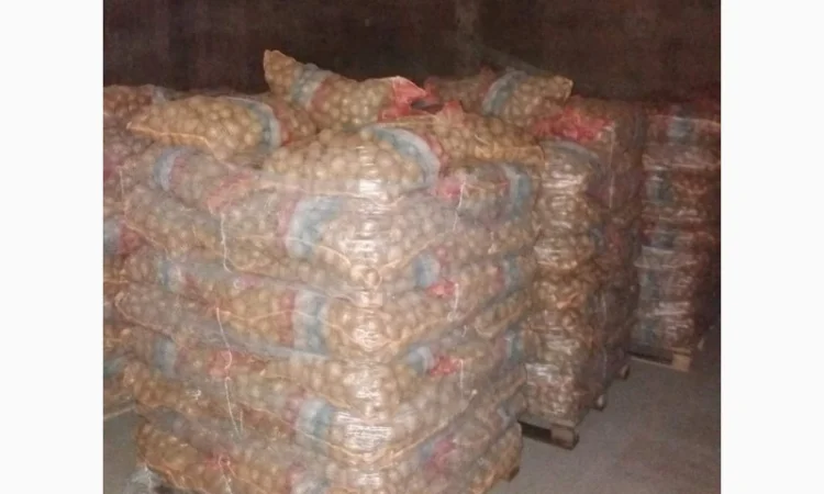 Продам пеллету древесную от производителя от 100 тонн - фото № 2