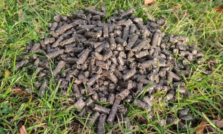 Продам пеллеты из шелухи подсолнуха. От производителя с 100 тонн - фото № 3