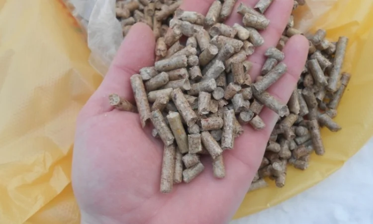 Продажа древесных пеллет и брикетов от поставщика, 100 тонн - фото № 16