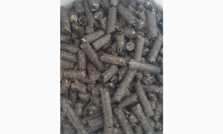 Pellet z łuski słonecznika - фото № 1