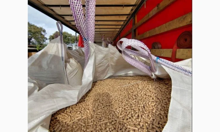 Продаємо деревні пелети сосна, дуб А1 - фото № 2