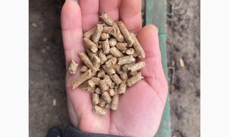 Продаємо деревні пелети сосна, дуб А1 - фото № 3