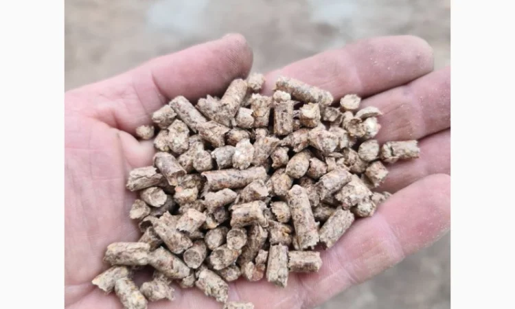 Пелети соснові від виробника. Козелець, Чернигов, Остер, Бровари, Ніжин, Прилуки - фото № 1