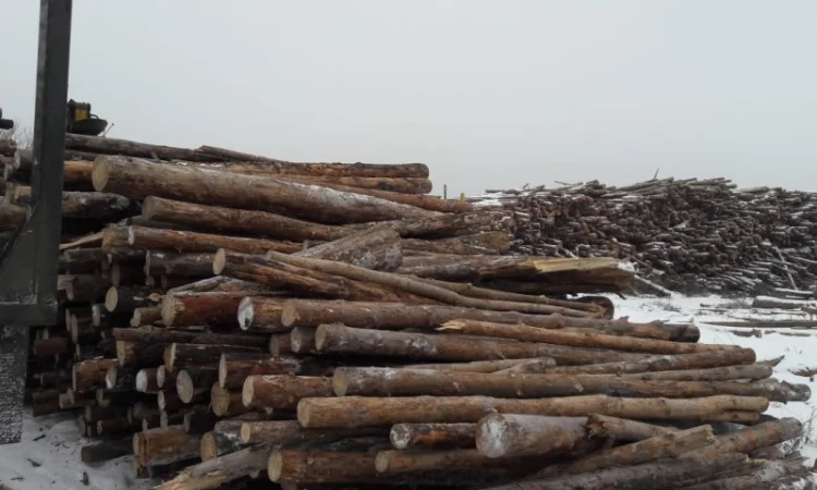 Продаж палетів пального від виробника, мінімальний обсяг 100 тонн - фото № 3