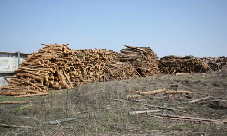 Продаж палетів пального від виробника, мінімальний обсяг 100 тонн - фото № 4