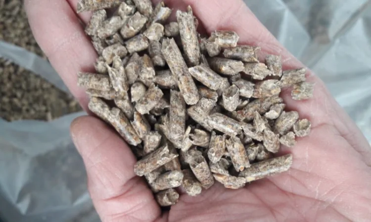 Продамм топливные пеллеты от производителя с 100 тонн - фото № 1