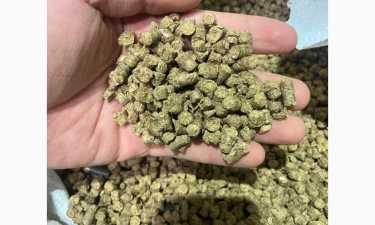 Продам паливні деревинно-тирсові дубові гранули (пелети). Розмір 6 мм - фото № 1