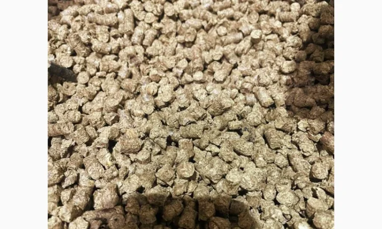 Продам паливні деревинно-тирсові дубові гранули (пелети). Розмір 6 мм - фото № 10