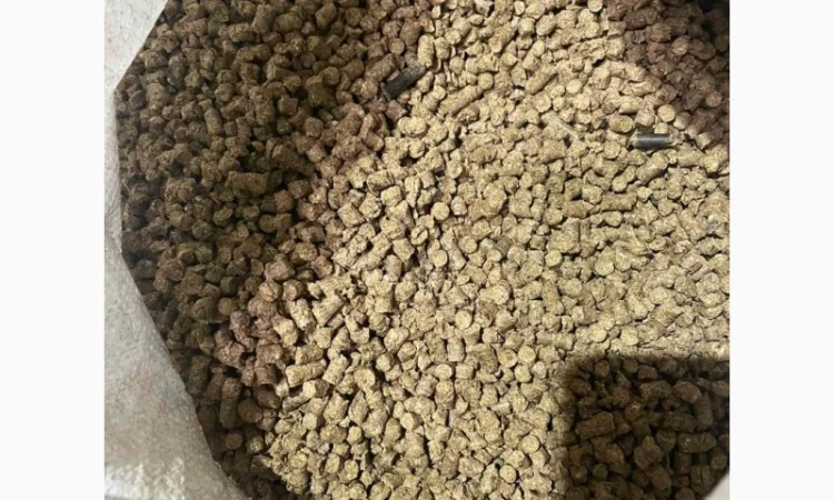 Продам паливні деревинно-тирсові дубові гранули (пелети). Розмір 6 мм - фото № 11