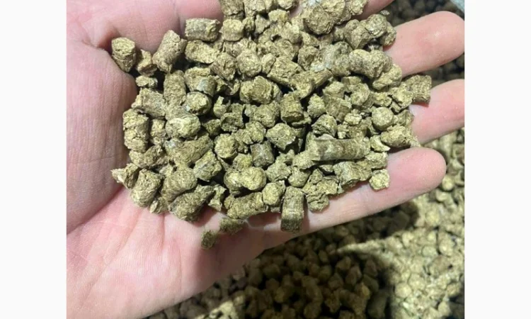 Продам паливні деревинно-тирсові дубові гранули (пелети). Розмір 6 мм - фото № 7