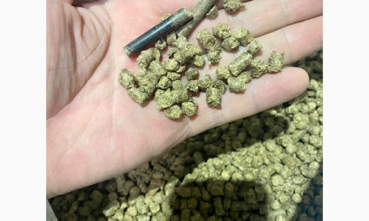 Продам паливні деревинно-тирсові дубові гранули (пелети). Розмір 6 мм - фото № 9