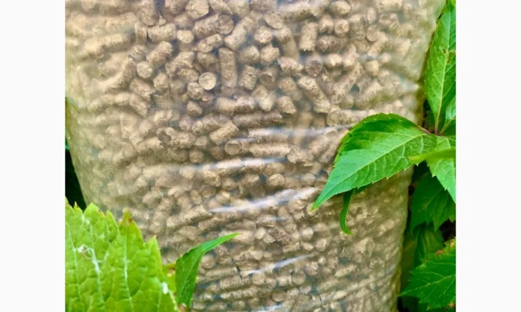 Продам Паливні пелети гранули з сосни - фото № 1