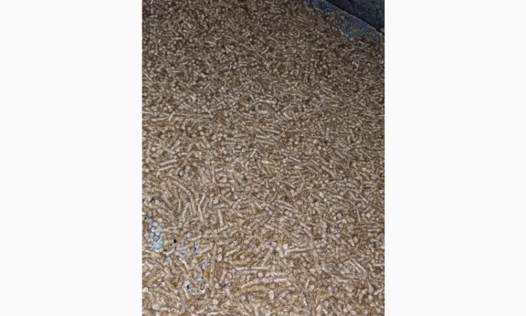 Гранули паливні з сосни (DIN) від виробника - фото № 2