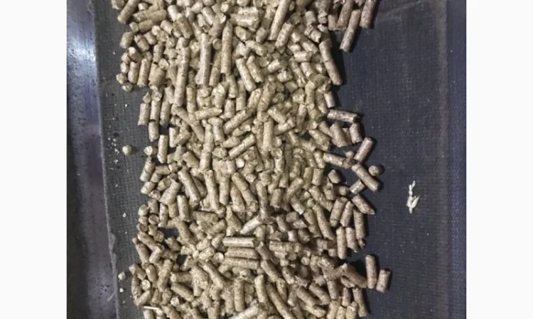 Пеллета з деревини (сосна) - фото № 1