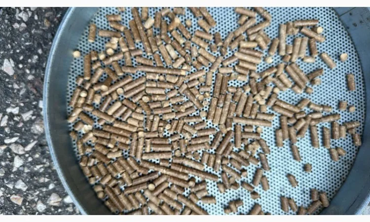 Пеллета з деревини (сосна) - фото № 2