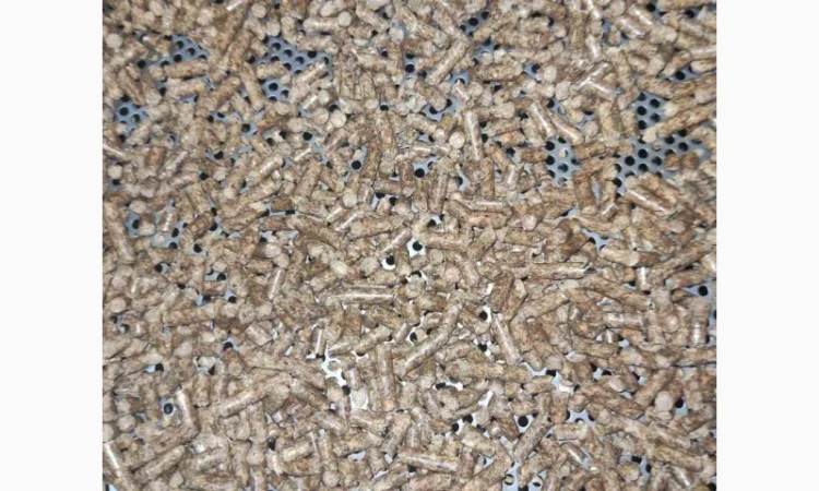 Продаж пеллет паливних із деревини хвойних порід, сосна - фото № 1