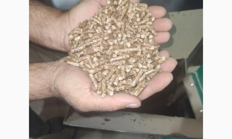 Продаж пеллет паливних із деревини хвойних порід, сосна - фото № 3
