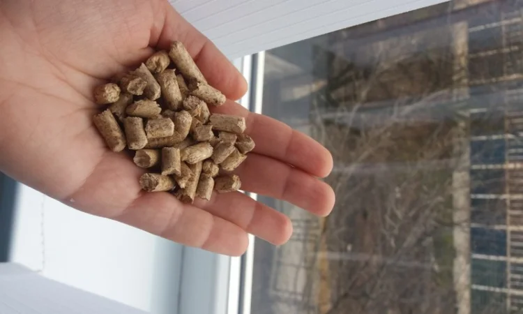 Деревні гранули з чистої деревини - фото № 3