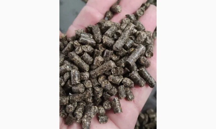 Продам топливную пеллету - фото № 3