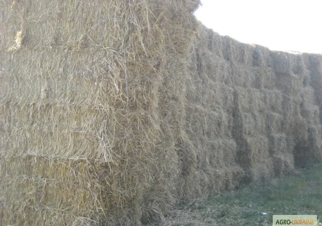 Паливні гранули для піролізних котлів - фото № 1