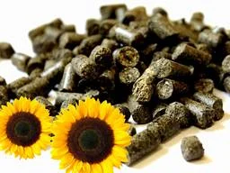 Брикети з лушпиння та дерева. Пелети з лушпиння та дерева - фото № 1