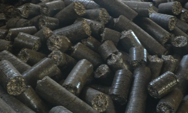 Брикети, пелети з лушпиння (лузги) - фото № 1