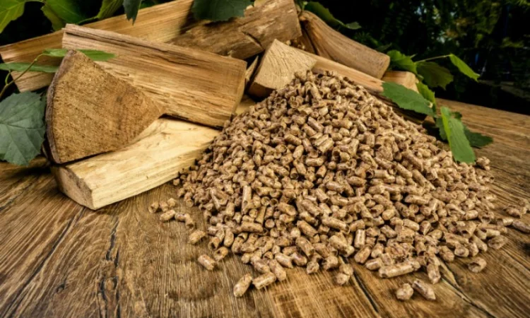 Продаємо пеллети та брикети (з лушпиння, з дерева або соломи) - фото № 1