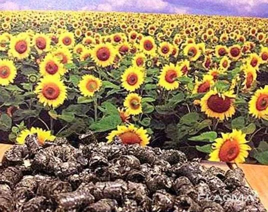 Брикет. Пелети з лушпиння (від 22 тонн) - фото № 1