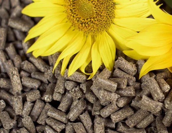 Пелети та брикет з лушпиння соняшника у біг бегах або насипом - фото № 1