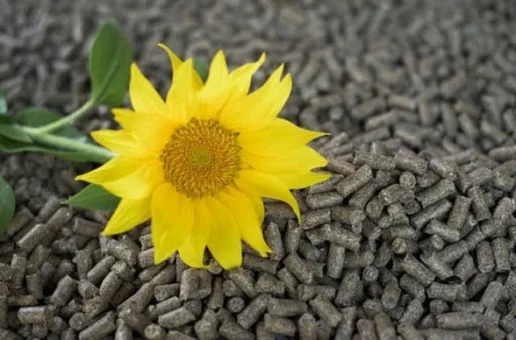 Оптовые продажи пеллет и брикетов из лузги - фото № 1