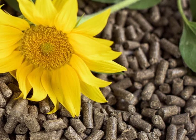 Продаємо пелети з лушпиння та брикет з лушпиння - фото № 1