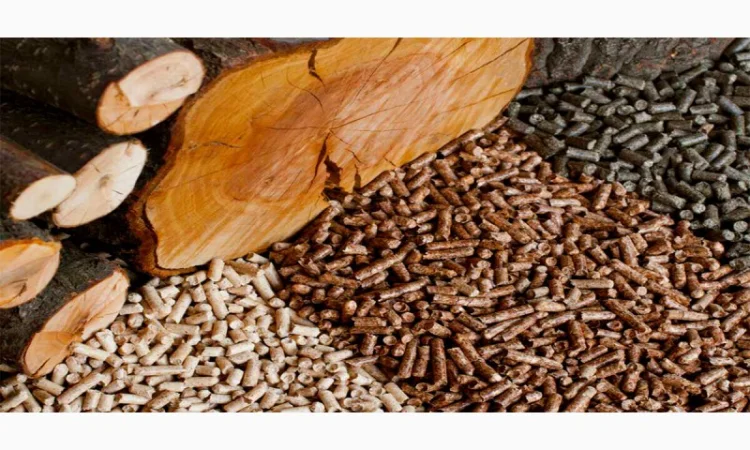 Пелети з соняшника. Пелети з дерева - фото № 1