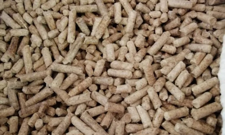 Продаж пелет та брикет оптом - фото № 1