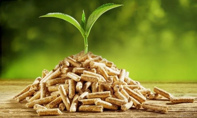 Пелети та брикети для підприємств України - фото № 1