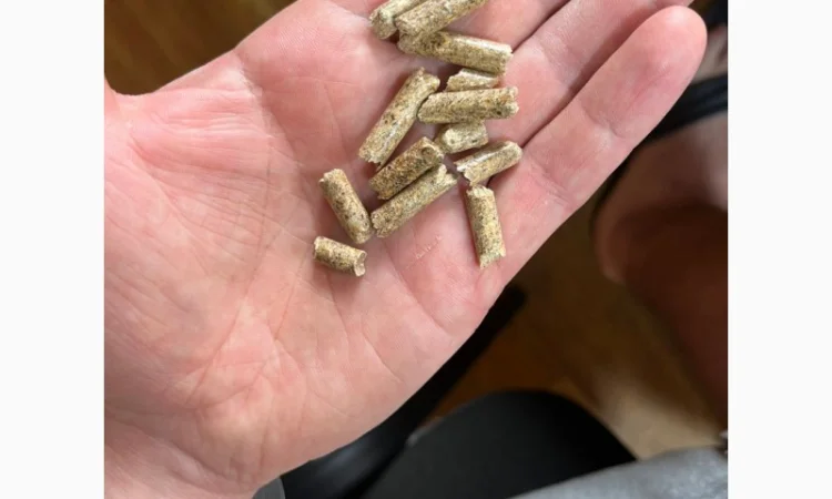 Пелета паливна 6мм соснова А1 - фото № 1