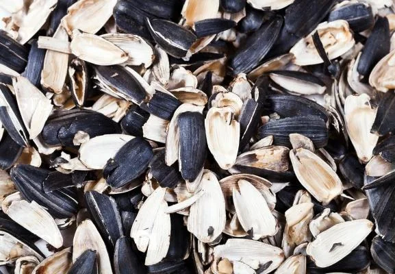 Лушпиння соняшника - фото № 1